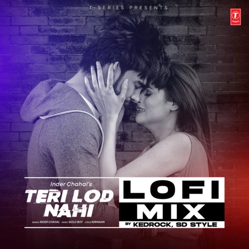 Teri Lod Nahi Lofi Mix(Remix By Kedrock,Sd Style)
