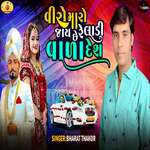 Viro Maro Jay Chhe Re Ladi Vala Desh