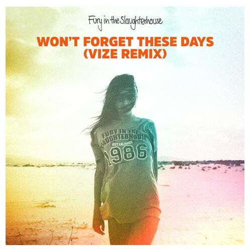 Won&#039;t Forget These Days (VIZE Remix)_poster_image