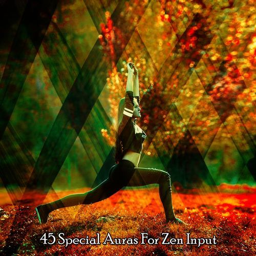 45 Special Auras For Zen Input_poster_image