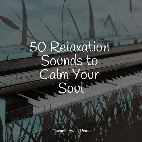 50 Relaxation Melodies for Quiet Listening and Total Relaxation_poster_image