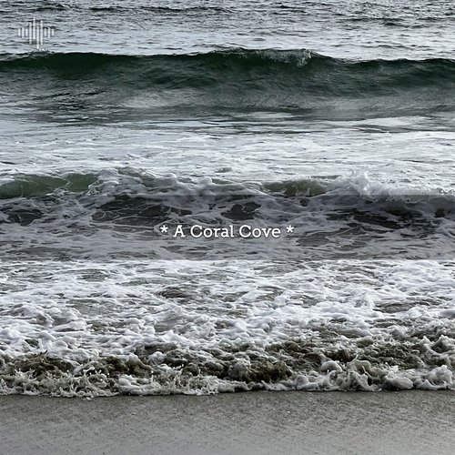 Ocean Sounds ASMR cover art