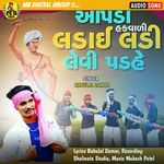 Aapda Hak Vadi Ladai Ladi Levi Padahe artwork