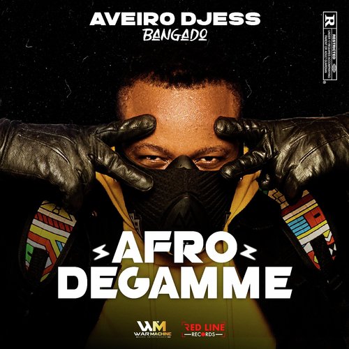 Afro Degamme_poster_image