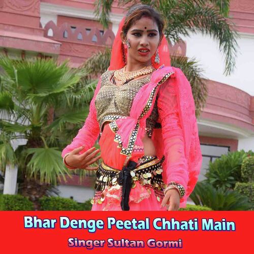 Bhar Denge Peetal Chhati Main