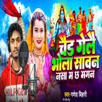 Chaidh Gelai Bhola Sawan Nasa Me Cha Magan