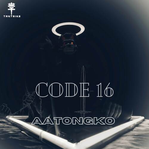 Code 16