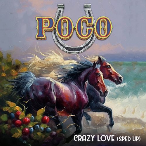 Crazy Love (Re-Recorded - Sped Up)