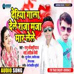 Dehiya Gaala Dele Raaja Maja Maar Lele