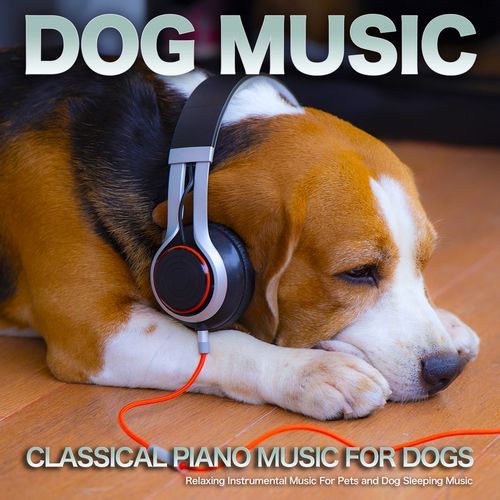 Nocturne - Chopin - Dog Music - Music For Dogs Ears - Calm Music For Dogs