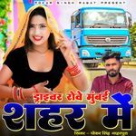 Driver Rove Mumbai Shahar Me
