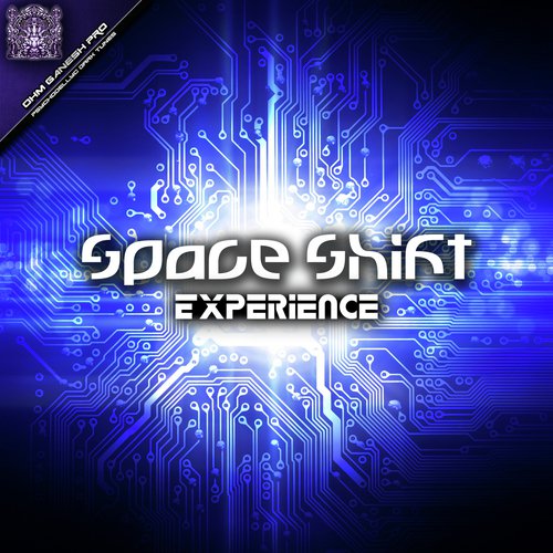 Experience