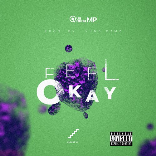 Feel Okay_poster_image