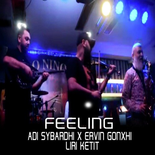 Feeling cover art