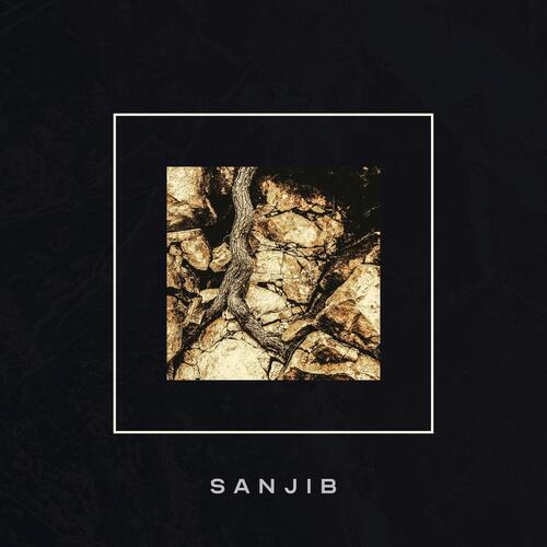 Sensing Algorithm (Doltz Remix) cover art