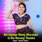 Hal Jayenge Dheeg Bharatpur Ja Din Marungi Thumka