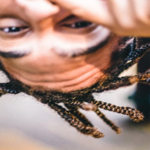 EDDIE cover art