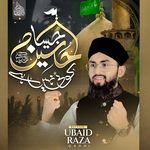 Hussain Jaisa Koi Nahi Hai