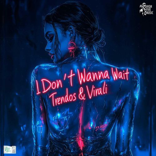 I Don't Wanna Wait