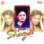 Tenu Bhul Gaiyan (RNB mix)