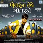 Khetarna Chhede Gotardo Dj Timali 1
