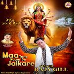 Maa Tere Naam De Jaikare