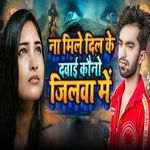 Na Mile Dil Ke Dawai Kauno Jilawa Me