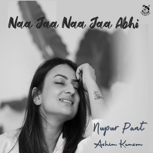 Naa Jaa Naa Jaa Abhi
