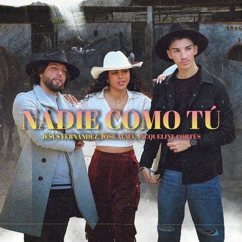 Nadie Como Tú_poster_image