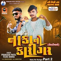 Naka No Karigar Part 2