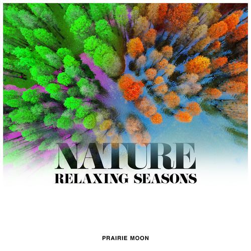 Binaural Nature Tone cover art
