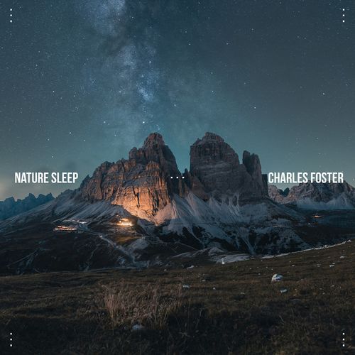 Ambient Nature Sounds cover art