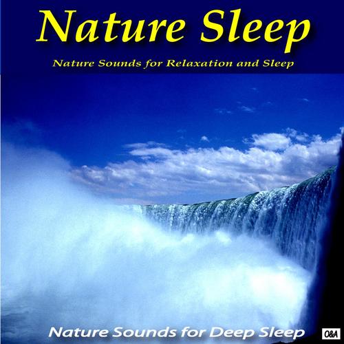 Nature Sounds for Relaxation