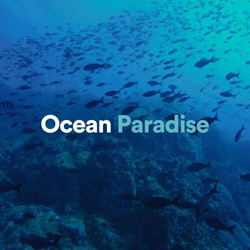 Ocean Paradise_poster_image