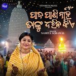 Paada Paani Nahin Tanku Dhariba Kie