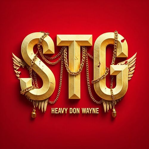 STG cover art