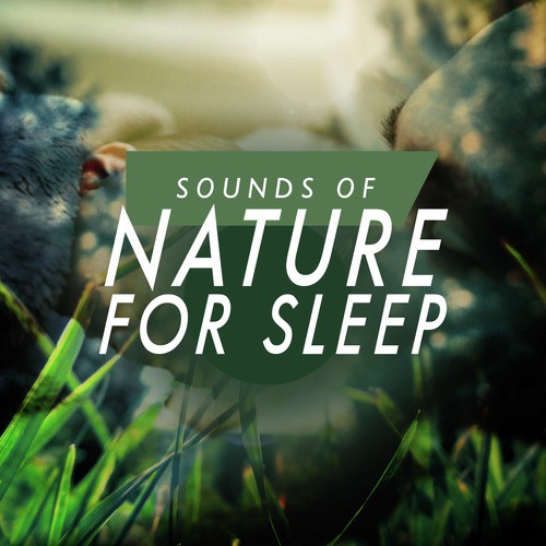 Sounds of Nature for Sleep