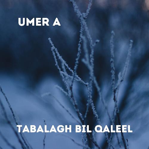 Tabalagh Bil Qaleel_poster_image