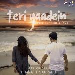 Teri Yaadein artwork