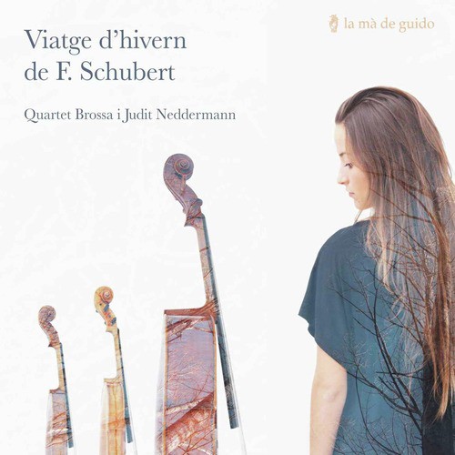 Viatge d'hivern de Franz Schubert