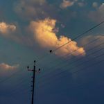 We Forgot Who We Are