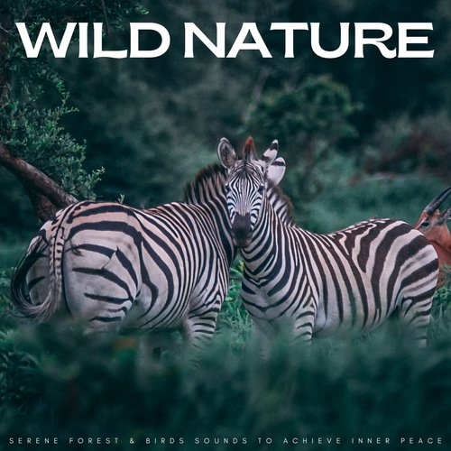 Wise Nature cover art