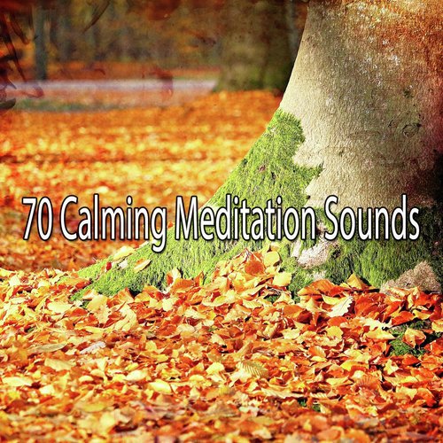 70 Calming Meditation Sounds