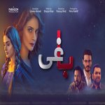 Baaghi