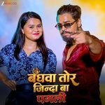 Baghava Tor Jinda Ba Pagali