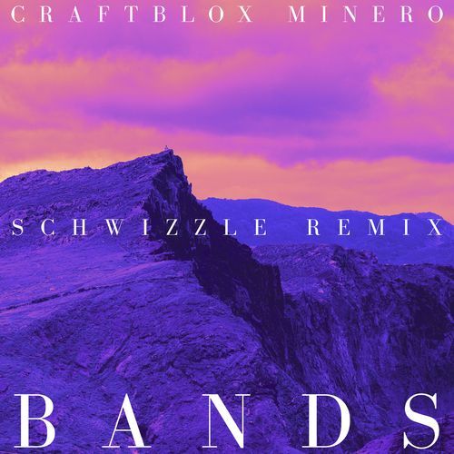 Bands (Schwizzle Remix) cover art