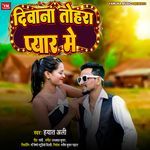 Deewana Tohar Pyaar Me