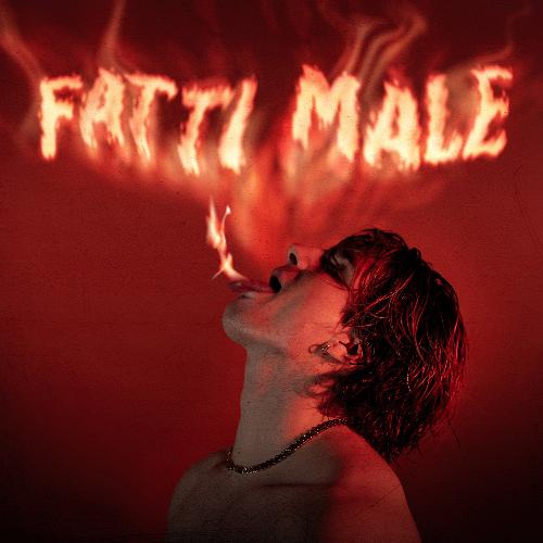 FATTI MALE_poster_image