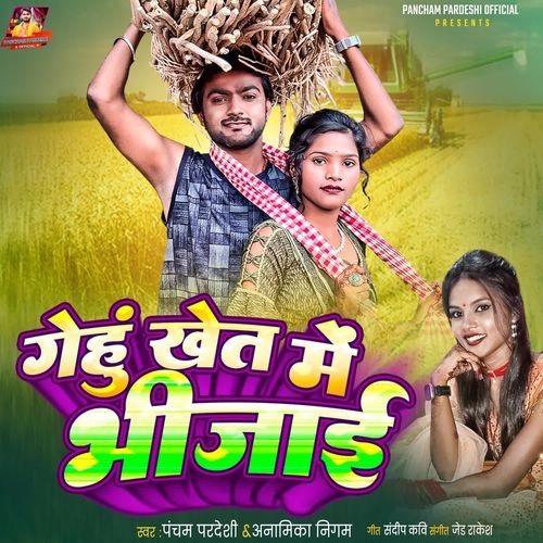 Genhu Khet Me Bhigai
