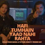 Hafi Tumhain Yaad Nahi Rahta